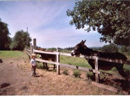Photos